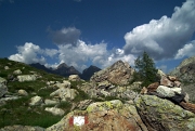 Camminata panoramica ad anello al PASSO DI GRABIASCA, sul MONTE RESEDA e per passi e laghi della conca del Calvi il 26 luglio 2012 - FOTOGALLERY